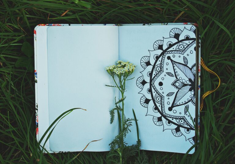 livre page blanche avec fleurs blanche par dessus en exterieur sur herbe verte et rosas fleur #serenitybodymind